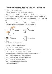 2022-2023学年湖南省娄底市新化县九年级（上）期末化学试卷（含详细答案解析）