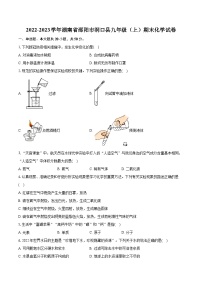 2022-2023学年湖南省邵阳市洞口县九年级（上）期末化学试卷（含详细答案解析）