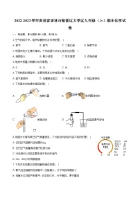 2022-2023学年吉林省吉林市船营区大学区九年级（上）期末化学试卷（含详细答案解析）