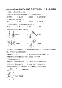 2022-2023学年吉林省长春市净月高新区九年级（上）期末化学试卷（含详细答案解析）