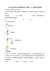 2022-2023学年江西省抚州市九年级（上）期末化学试卷（含详细答案解析）