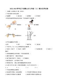 2022-2023学年辽宁省鞍山市九年级（上）期末化学试卷（含详细答案解析）