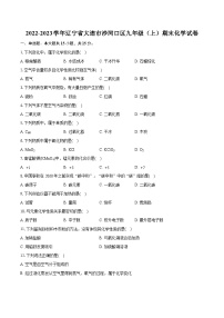 2022-2023学年辽宁省大连市沙河口区九年级（上）期末化学试卷（含详细答案解析）