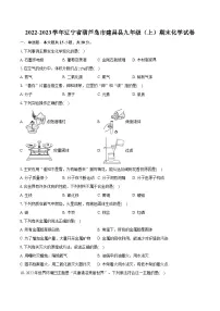 2022-2023学年辽宁省葫芦岛市建昌县九年级（上）期末化学试卷（含详细答案解析）