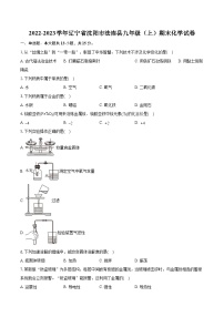 2022-2023学年辽宁省沈阳市法库县九年级（上）期末化学试卷（含详细答案解析）