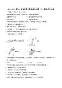 2022-2023学年山东省菏泽市郓城县九年级（上）期末化学试卷（含详细答案解析）