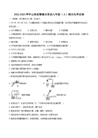 2022-2023学年山东省聊城市莘县九年级（上）期末化学试卷（含详细答案解析）