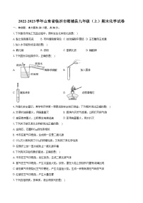 2022-2023学年山东省临沂市郯城县九年级（上）期末化学试卷（含详细答案解析）