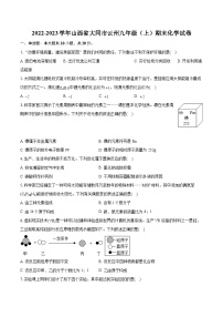 2022-2023学年山西省大同市云州九年级（上）期末化学试卷（含详细答案解析）