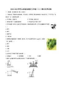 2022-2023学年山西省运城市九年级（上）期末化学试卷（含详细答案解析）