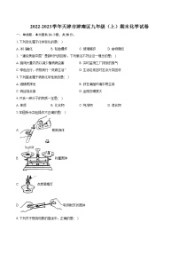 2022-2023学年天津市津南区九年级（上）期末化学试卷（含详细答案解析）