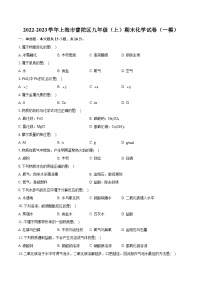 2022-2023学年上海市普陀区九年级（上）期末化学试卷（一模）（含详细答案解析）