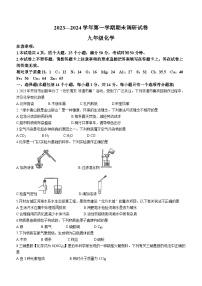 河南省开封市2023—2024学年九年级上学期期末调研试卷化学试题