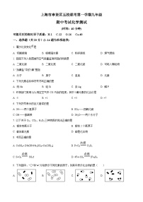 2023-2024学年上海市奉贤区五校联考九年级上学期期中化学试题