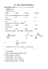 2023-2024学年上海市嘉定区九年级上学期期中化学试题