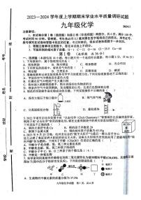 山东省临沂市临沂经济技术开发区2023-2024学年九年级上学期1月期末化学试题