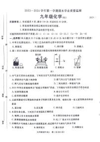 河北省廊坊市霸州市2023-2024学年九年级上学期期末化学检测卷