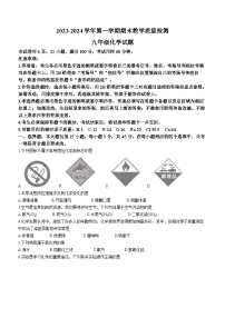 广东省河源市连平县2023-2024学年九年级上学期期末化学试题