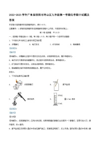 2022-2023学年广东省深圳市坪山区九年级上学期化学期中试题及答案