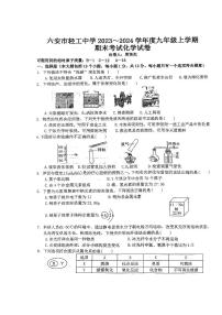 安徽省六安市轻工中学2023-2024学年九年级上学期1月期末化学试题