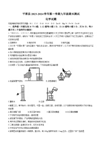 山东省德州市平原县2023-2024学年九年级上学期1月期末化学试题