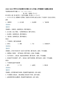 2022-2023学年江苏省泰州市靖江市九年级上学期化学期中试题及答案