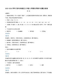 2023-2024学年天津市东丽区九年级上学期化学期中试题及答案