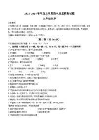 山东省临沂市兰山区2023-2024学年九年级上学期期末化学试题