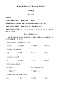 江苏省锡山高级中学实验学校第一次适应性练习化学试题