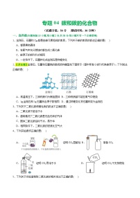 专题04+碳和碳的化合物（测试）-2024年中考化学一轮复习讲练测（全国通用）