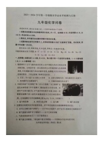 山东省聊城市阳谷县2023-2024学年九年级上学期1月期末化学试题