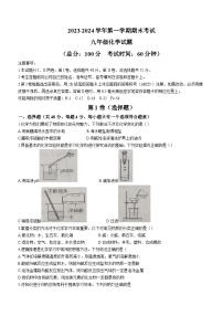 山东省东营市广饶县2023-2024学年九年级上学期期末化学试题