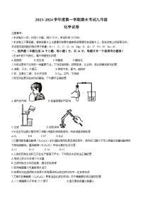 河南省漯河市临颍县2023-2024学年九年级上学期期末化学试题