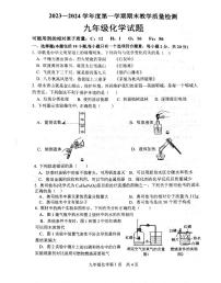 山东省菏泽市郓城县2023-2024学年九年级上学期期末化学试题