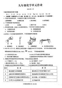 山东省临沂市沂水县2023-2024学年九年级上学期期末考试化学试题