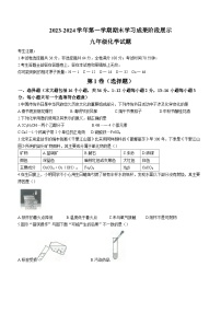 山东省德州市夏津县第四中学2023-2024学年九年级上学期期末学习成果阶段展示化学试题+