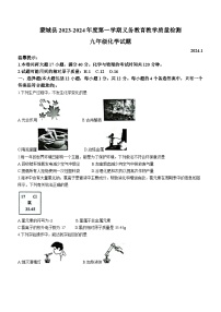 安徽省亳州市蒙城县2023-2024学年九年级上学期期末化学试题