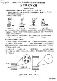 山东省菏泽市鄄城县2023-2024学年九年级上学期1月期末化学试题