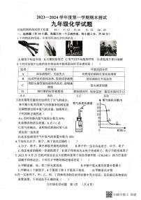 山东省菏泽市东明县2023-2024学年九年级上学期化学期末试题