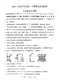 山东省菏泽市单县2023-2024学年九年级上学期1月期末化学试题