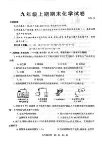 河南省新乡市辉县市2023-2024学年九年级上学期1月期末化学试题