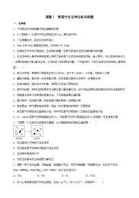 5.1 质量守恒定律 同步练习   九年级化学人教版上册