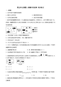 5.1 质量守恒定律同步练习   九年级化学人教版上册