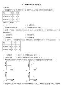 5.1 质量守恒定律同步练习  九年级化学人教版上册