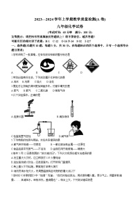 福建省漳州市2023-2024学年九年级上学期教学质量检测化学试卷