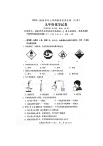 福建省漳州市2023-2024学年九年级上学期1月期末化学试题