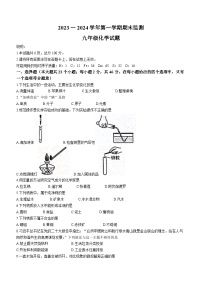 河北省邯郸市冀南新区2023-2024学年九年级上学期期末化学试题