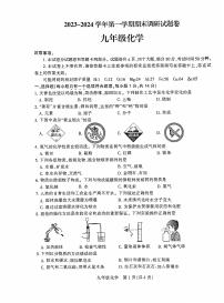 2023-2024学年河南省平顶山市九年级上学期期末化学试卷及答案