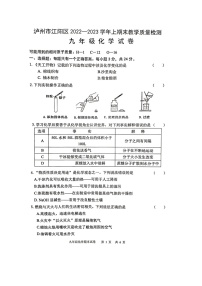 四川省泸州市江阳区2022-2023学年九年级上学期期末考试化学试题