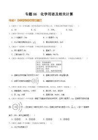 2024年中考化学真题分项汇编（全国通用）专题06 化学用语及相关计算（第02期）（原卷版+解析）